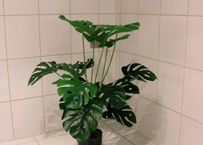 Prein --- Self-check-in --- Naehe Red Bull Ring Lägenhet